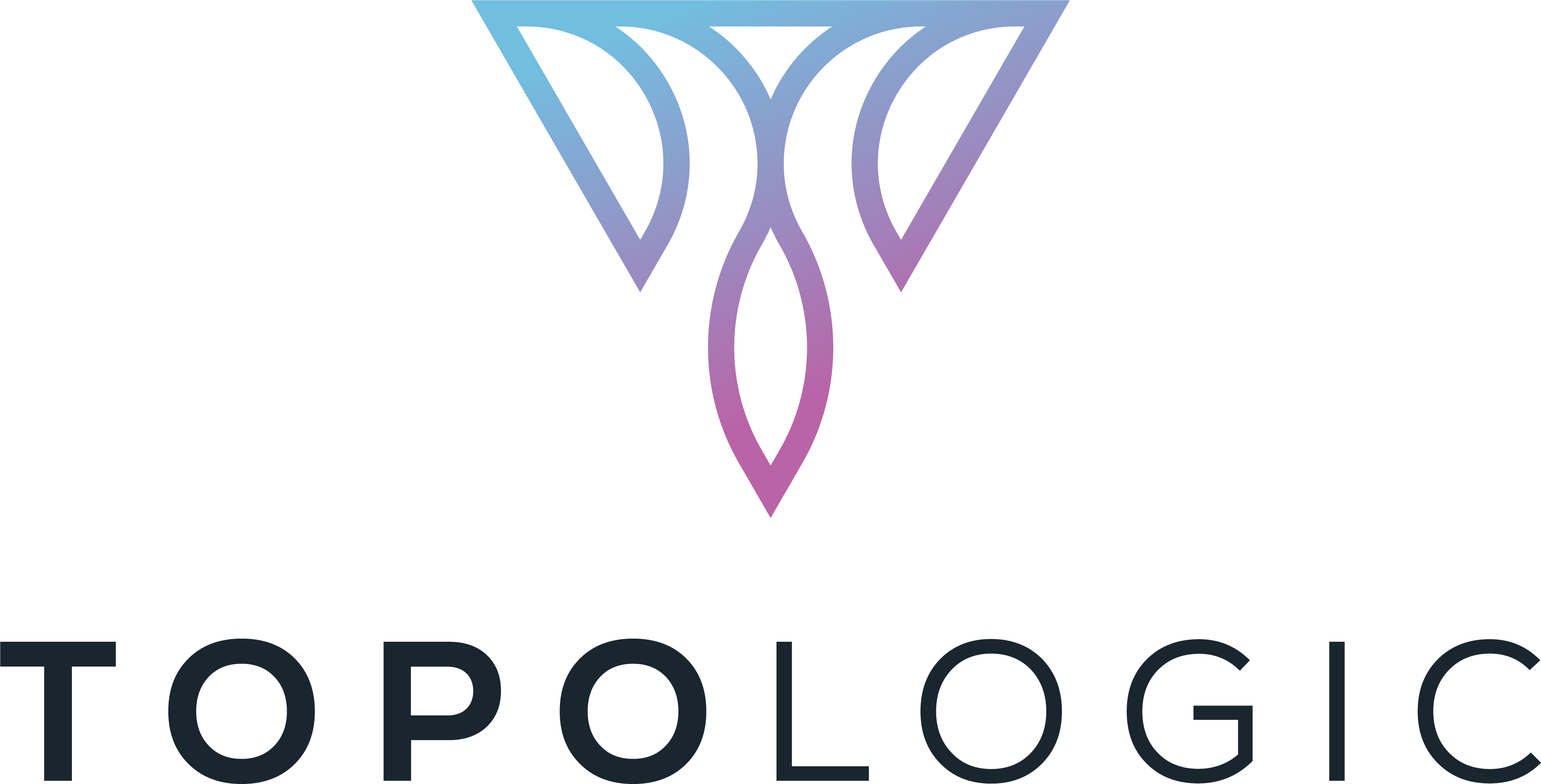 TopoLogic